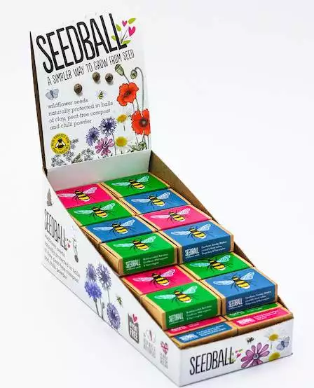 seedball wildflower seeds clayball (x6)