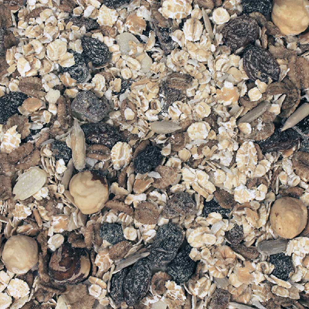 infinity foods organic oat bran (500g)