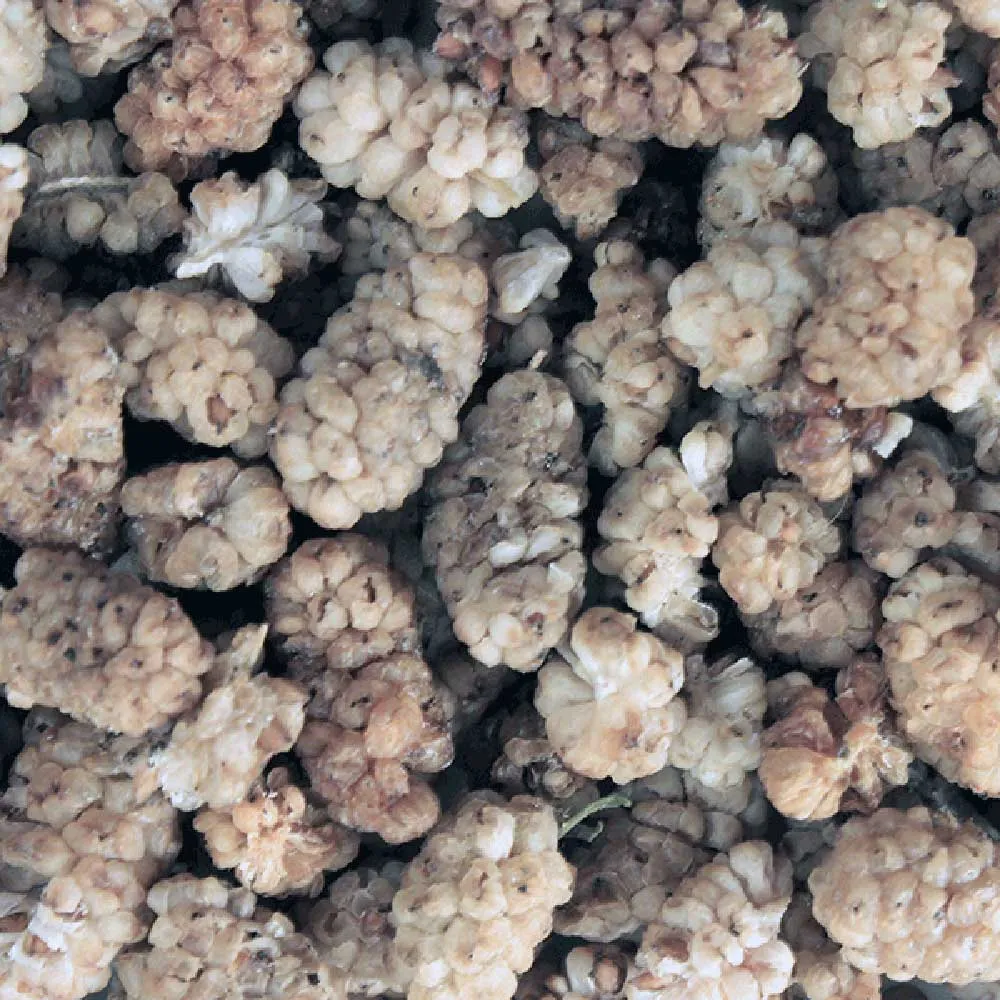 infinity foods organic white mulberries (1kg)