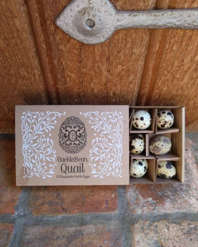 QUAIL EGGS THE CACKLEBEAN WAY....Quails are such cute little birds with big personalities! Cacklebean Quails  - as you would expect, like the Cacklebean Chickens live a very happy life, free to fly and forage at Cackleberry Farm.  The gorgeous little quails lay beautiful tiny speckled eggs with golden yolks, beautifully packaged the Cacklebean way in matchbox style boxes.
Treat like a mini chicken egg  - soft boil and halve, enjoy on top of salads, toast, soup
There are many ways to pickle or great in a home made Scotch Egg.
Hard boil and halve and add to potato salad, enjoy in sandwiches, or quickly fry sunny side up for an adorable garnish!
Pop them in your shopping basket Saturday!
We look forward to seeing you💜

#cacklebeaneggs #hartleywintney #visithartleywintney @visithartleywintney #shoplocal #organicallyspeaking
