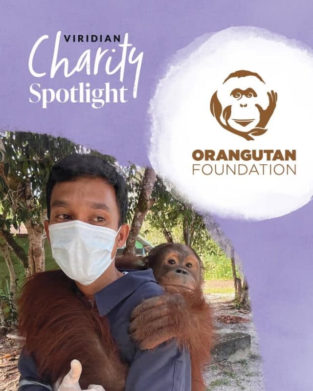 One of the many reasons why we love Viridian Nutrition is the opportunity we have to choose charities that Viridain donate to on our behalf both local and worldwide, plus they have an amazing team behind them that support indies like us, in particular big shout out to Cathy, simply the best 💜