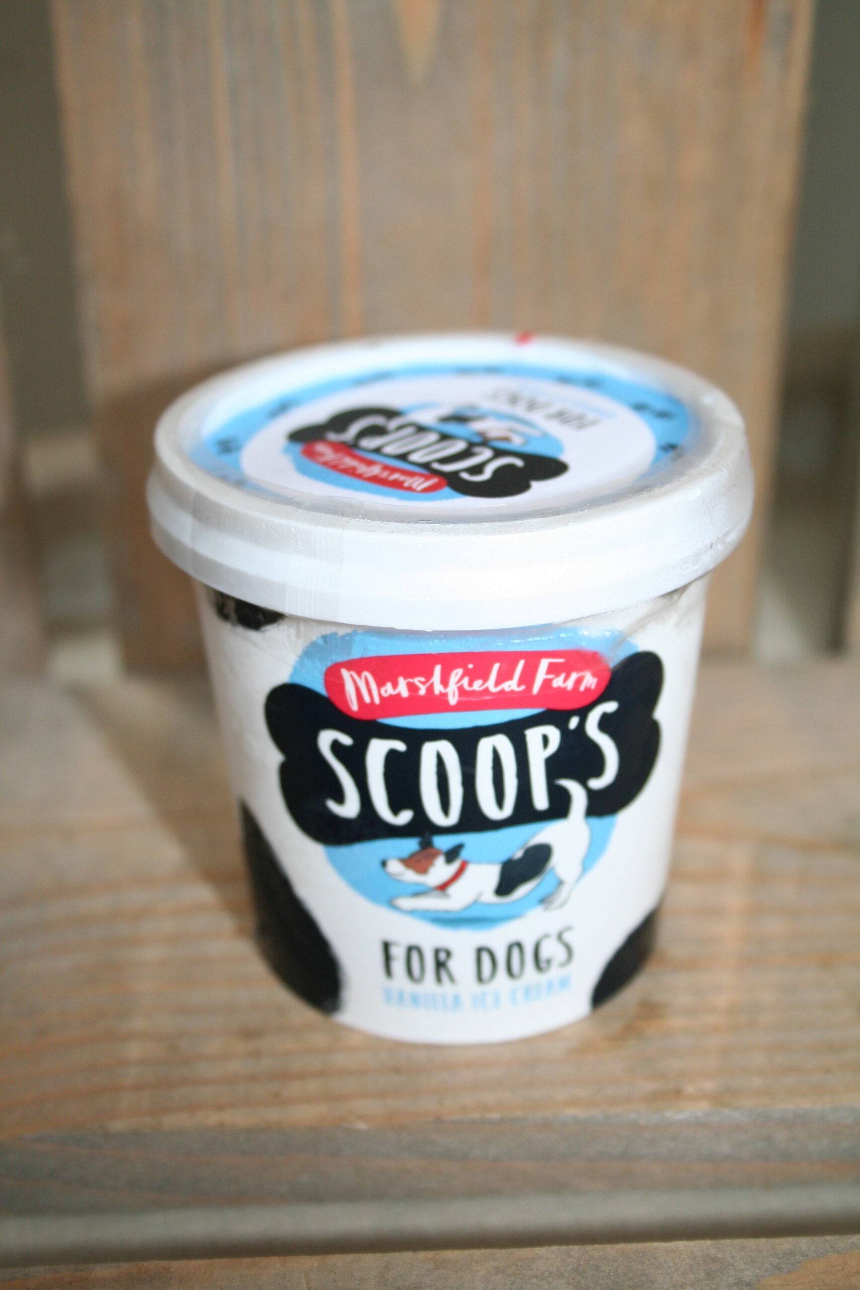 Marshfield Scoop Dog Ice Cream