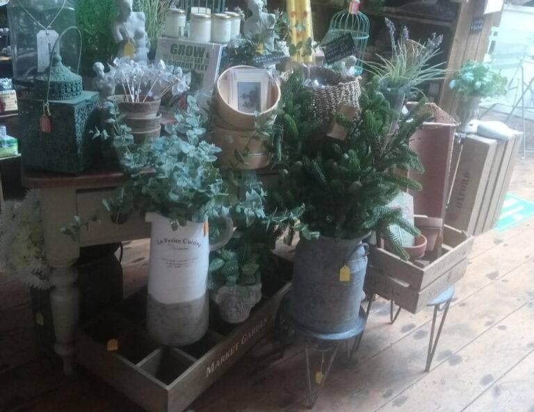 gifts for garden