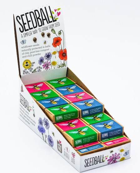 seedball wildflower seeds clayball (x6)