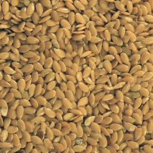 infinity foods organic oat bran (500g)