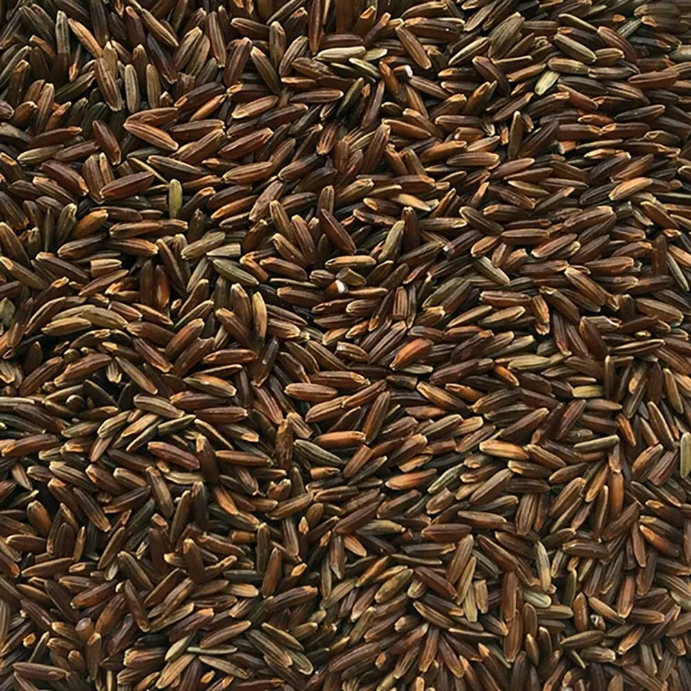1050 1
