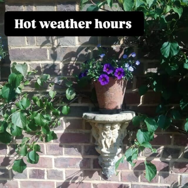 CHANGE TO OPENING HOURS... Thursday and Friday this week
Due to the extreme high temperatures we are opening earlier and closing earlier on Thursday & Friday (& possibly Saturday) this week 
We will therefore be open at 7.30am and will be closing at 3pm

#organicallyspeaking #organic #hartleywintney #hook #visithartleywintney
