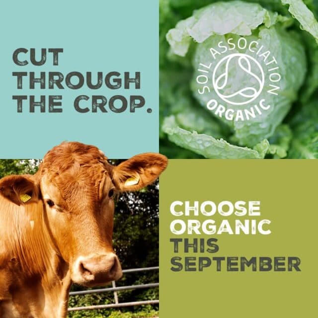 IT'S ORGANIC SEPTEMBER!  A celebration of all things organic.  As we start to shift into another season look out for even more new products appearing as well as the return of some Autumnal favourites.
Are you an OS Loyalty member? Look out for your loyalty club notifications - treats, free products and more to celebrate Organic September!  Not a member? It's free to join, takes less than a minute with lots of benefits and money off your shopping so ask us on your next visit 💜
We look forward to seeing you!

#organicseptember #soilassociation #loveorganic #organicshop #hartleywintney @visithartleywintney
