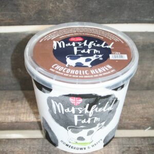 Marshfield chocolate ice cream