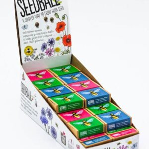 seedball wildflower seeds clayball (x6)