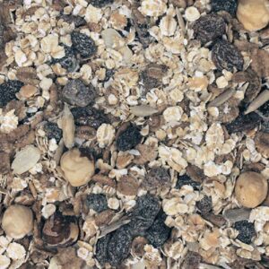 infinity foods organic oat bran (500g)