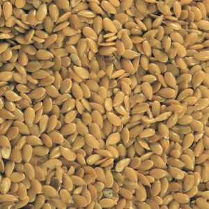 infinity foods organic oat bran (500g)